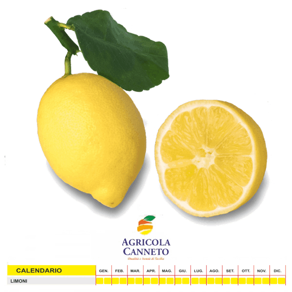Agricola Canneto "limone Femminello di siracusa, 2kr"