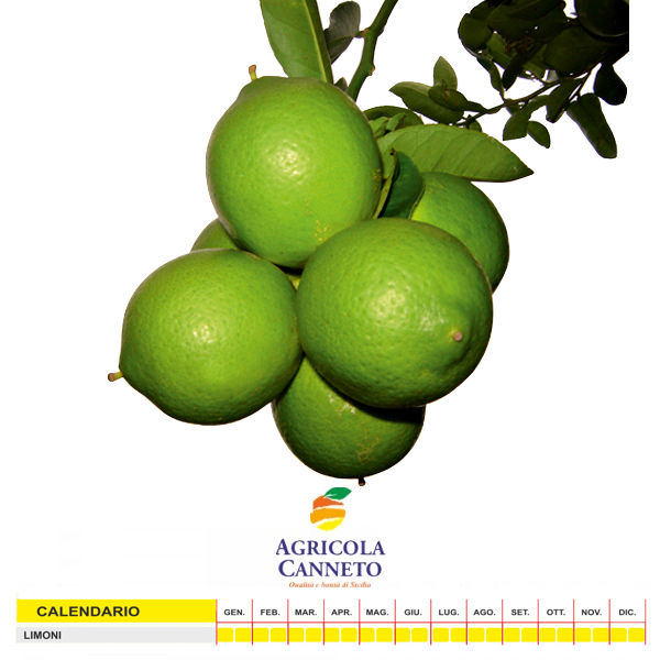 Agricola Canneto " Limone Verdello"